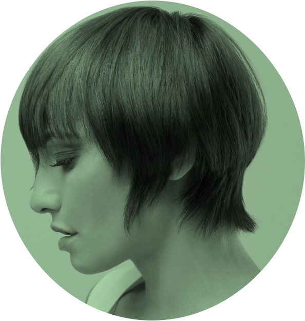 CAPSULE COLLECTION PREMIUM